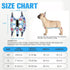 Hammock Trimmer Trimming Hammock PAWCHIE Dog Grooming Harness for Dogs & Cats with Pet Nail Clipper - Cat Hanger Sling