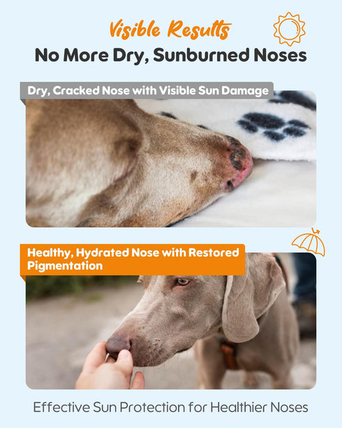 25 Dog Nose Sunscreen Balm SPF Natural, Lick-Safe Sun Protection with Shea Butter & Sea Buckthorn Moisturizes & Shields