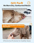 25 Dog Nose Sunscreen Balm SPF Natural, Lick-Safe Sun Protection with Shea Butter & Sea Buckthorn Moisturizes & Shields