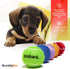 Colorful Squeaky Tennis Balls for Small Dogs and Puppies, 1.5 Inch, 12 Pack for Training and Fetch