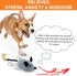 BABORUI Interactive Dog Toys Mouse, Escaping Squeaky Toys with Lights & Auto-Turn, Rechargeable