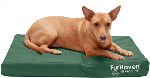 Furhaven Water-Resistant Orthopedic Dog Bed for Medium/Small Dogs, Removable Washable Cover - Forest
