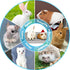 Chinchilla kathson Rabbit Litter Box, Bunny Potty Trainer Tray Guinea Pig Litter Box with Grid, Small Animal Toilet