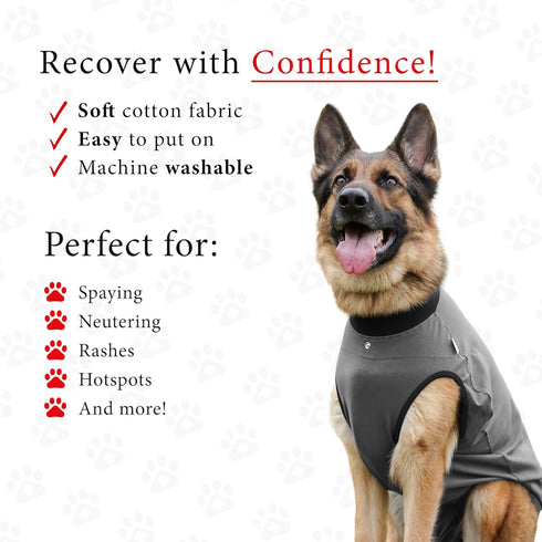 BellyGuard Recovery Suit for Dogs, Comfy Dog Surgery Suit, Female Spay and Male Neuter Onesie for Post-Op Care