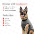 BellyGuard Recovery Suit for Dogs, Comfy Dog Surgery Suit, Female Spay and Male Neuter Onesie for Post-Op Care