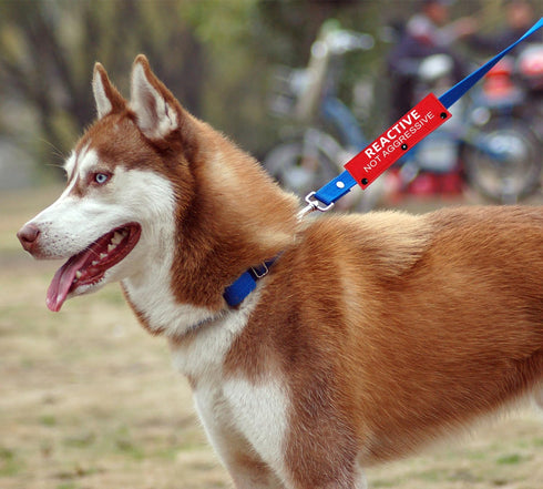 Reactive Not Aggressive Dog Leash Sleeve Wrap, Red Cover for Reactive Dogs, Gift for Dog Owners