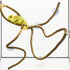 SunGrow 6 ft Reptile Vine for Terrarium, Flexible Climber Decor for Lizard Tank, Twistable Habitat Vines for Bearded