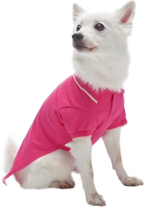 Blueberry Pet Back to School 2-Pack Dog Polo Shirts, Cotton Outfit for Small Pets, Amaranth Red + Pink