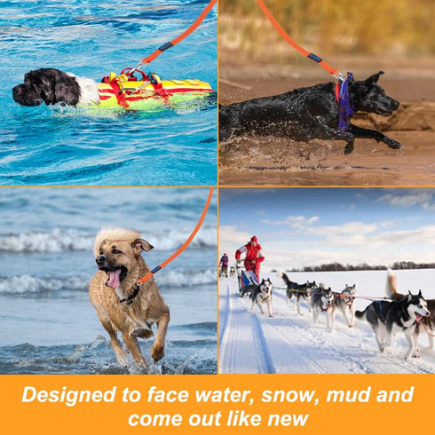Vivifying Waterproof Long Dog Leash - 20ft Orange Durable PVC for Recall Training, Hiking, Swimming, Beach