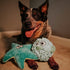 SmartPetLove Tender-Tuffs Easy Grab Small Squeaky Soft Plush Starfish Dog Toy for Puppies and Adult Dogs