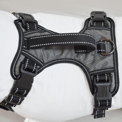 Max and Neo Gunnison Reflective Dog Harness, Small, Gray - We Donate a Harness to a Dog Rescue for Every Sold