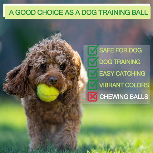 12 Pack INSUM Bulk Tennis Balls for Beginner High Elasticity Practice Tennis Balls with Mesh Bag, Suit for Pet Dog