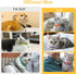 6-8 Inch 2-6 2 Pack, Taglory Kitten Collar Breakaway with Bell, Reflective Soft Cat Collar for Small Kittens