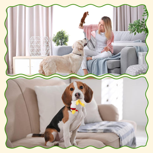 6 Pack Pet Soft Dog Toys Squeaky - Cute Puppy Toys Plush Animals, No Stuffed Dog Chew Toy Interactive Pet for Small