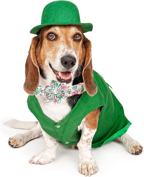 Lionheart Glory St. Patrick's Day Dog Collar, Green Flower Collar with Lucky Clover Shamrock for Large Dogs