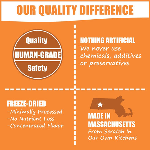 Whole Life Pet Healthy Gut Daily Supplement for Cats – Probiotics with Pumpkin for Digestion & Stool Formation