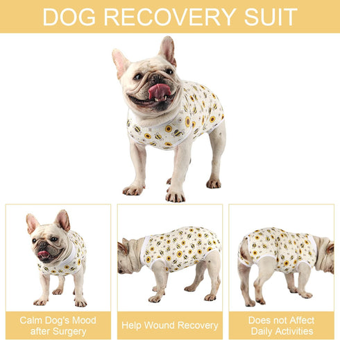 Dog Surgery Suit for Female - Spay Recovery Suit for Dogs - Neuter Recovery Suit for Male Dogs - Fits Small Medium Dog