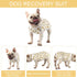 Dog Surgery Suit for Female - Spay Recovery Suit for Dogs - Neuter Recovery Suit for Male Dogs - Fits Small Medium Dog