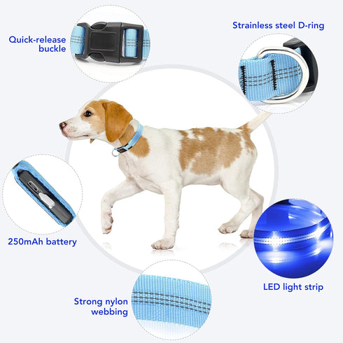Light Up Dog Collars - Rechargeable LED Reflective Dog Collar for Night Walking - Adjustable Glow Collar (Blue, Small)