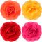 WILLBOND 4 Pieces Multicolored Dog Flower Bow Collar Set, Pet Bow Collar Charms for Puppy Dog Collar Cat Grooming