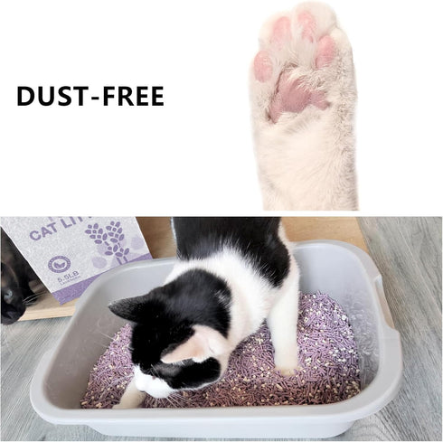 Tofu Cat Litter - Dust-Free Kitty Litter, Ultra Absorbent Clumping Cat Pellet Litter, Lavender Odor Control, Less