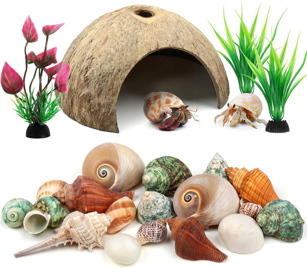 Hermit Crab Sea Shells Natural Coconut Shell Hut, Artificial Plants for Hermit Crab Tank Hide Reptile Supplies - 22 PCS
