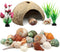 Hermit Crab Sea Shells Natural Coconut Shell Hut, Artificial Plants for Hermit Crab Tank Hide Reptile Supplies - 22 PCS