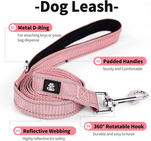 IVY&LANE Adjustable Reflective Dog Collar and Leash Set, Neoprene Padded for Small Medium Large Dogs, 5FT Nylon Leash