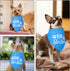 HJZHII Big Brother Dog Bandana, Cotton Adjustable Triangle Personalized Dog Bandanas Custom for Pregnancy Announcement