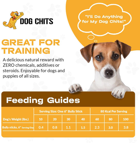 Dog Chits Bully Sticks for Dogs and Puppies | 6-inch, 20 Pack | Natural Healthy Long Lasting Chew Treats