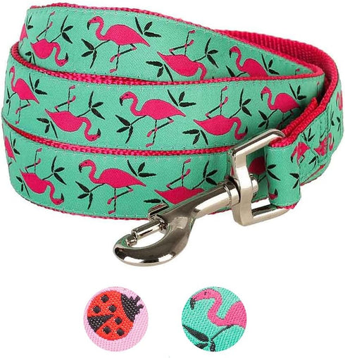 Blueberry Pet Essentials 2 Patterns Durable Dog Leash, Pink Flamingo on Light Emerald, 4 ft x 1", Large, Basic Nylon