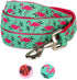 Blueberry Pet Essentials 2 Patterns Durable Dog Leash, Pink Flamingo on Light Emerald, 4 ft x 1", Large, Basic Nylon