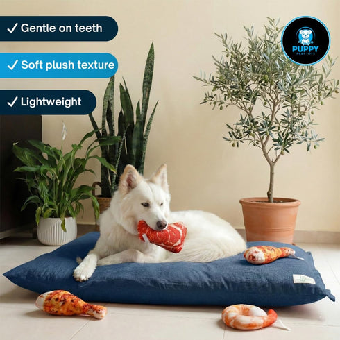 Puppy Play Toys 5-Pack: Set Squeaky Dog Toys Realistic Steak, Chicken Leg & Shrimp Plush Chew Toys for All Dog Sizes