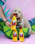 3-Pack ZippyPaws Happy Hour Crusherz- Interactive Dog Toys to Keep Them Busy, Squeaky Plush Toy for All Breeds, Gift