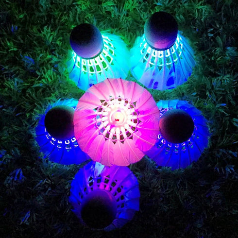 Leadge LED Shuttlecock Badminton Birdies, Dark Night Goose Feather Glow Birdies for Indoor Outdoor Sport Activities (6