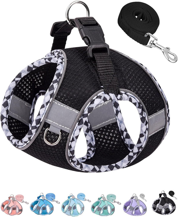 Petank Dog Harness for Small Medium Dogs: No Pull, Easy Walk Harness and Leash Set for Training (Black, XXS)