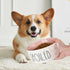 27OZ Ceramic Dog Bowl, 6'' Extra Large Food Water Bowl, Heavy Duty Non-Slip Dog Dish for Medium Dogs (Pink)