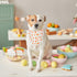 ADOGGYGO Easter Dog Bandana - Reversible Triangle Scarf for Medium and Large Dogs, Multiple Sizes Offered (Large)