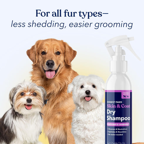 8 oz Honest Paws Dog Dry Shampoo - Waterless No Rinse Foaming Formula Reducing Itch Cleanse Hydrate Nourish Dry Skin
