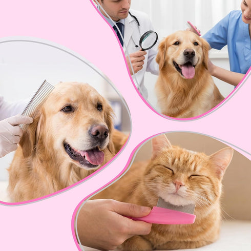 Gsbnjuy 6 Pcs Pets Grooming Comb Kit for Small Dogs Tear Stain Remover Comb Dog Face Combs for Eye Cleaning Gentle