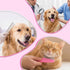 Gsbnjuy 6 Pcs Pets Grooming Comb Kit for Small Dogs Tear Stain Remover Comb Dog Face Combs for Eye Cleaning Gentle