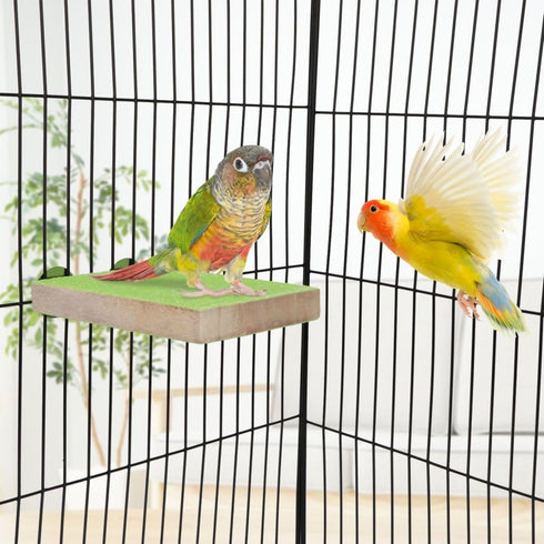 Hypeety Colorful Bird Perch Stand Platform - Natural Wood Paw Grinding Clean Cage Toy for Parrots