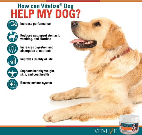 Vitalize Dog Digestive Health Powder - Relief for Constipation, Nausea, Skin & Coat Supplement, 1 Pound