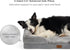 Bedsure Cat Beds for Indoor Cats - Washable Bolster Sofa Beds for Extra Small Dogs, Supportive Foam Couch Bed, Grey