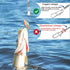 YOTO Fishing Leaders, Saltwater Tackle Rig with Swivels Snap, High-Strength Fishing Wire Gear for Lures Bait Hooks