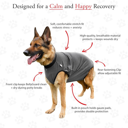 BellyGuard Recovery Suit for Dogs, Comfy Dog Surgery Suit, Female Spay and Male Neuter Onesie for Post-Op Care