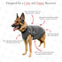 BellyGuard Recovery Suit for Dogs, Comfy Dog Surgery Suit, Female Spay and Male Neuter Onesie for Post-Op Care