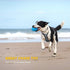 EASTBLUE Squeaky Dog Toys for Aggressive Chewers, Rubber Puppy Chew Ball with Squeaker, Durable Pet Toy