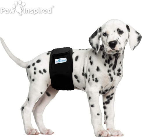 Paw Inspired 3ct Male Dog Wraps, Washable Belly Band for Dogs, Reusable Diapers for Marking, Small, Black