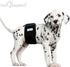 Paw Inspired 3ct Male Dog Wraps, Washable Belly Band for Dogs, Reusable Diapers for Marking, Small, Black
